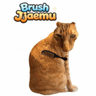 Brush Jjaemu img