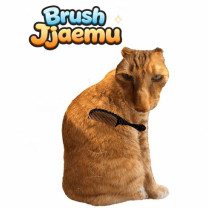 Brush Jjaemu img