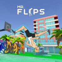 Mr Flip img